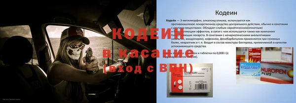гидра Арсеньев