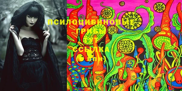 гидра Арсеньев