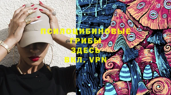 кокс Аркадак